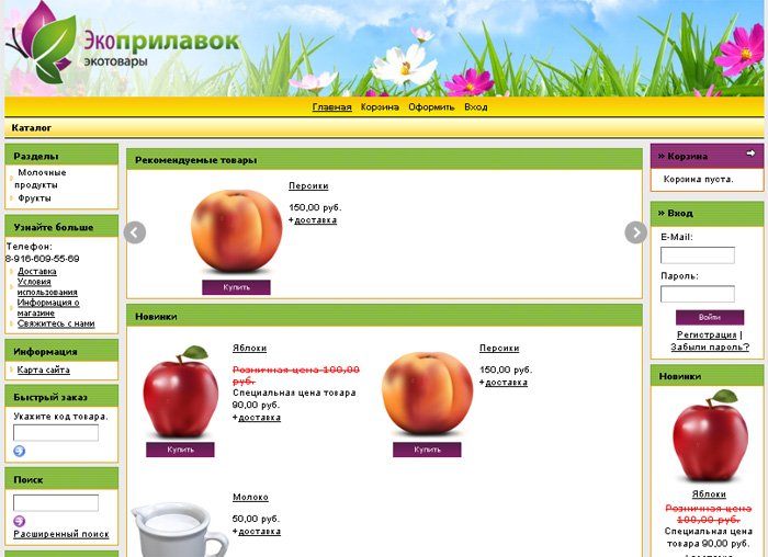 Создание интернет-магазина с нуля